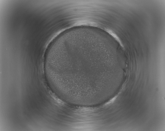 X0000068280877200605121909