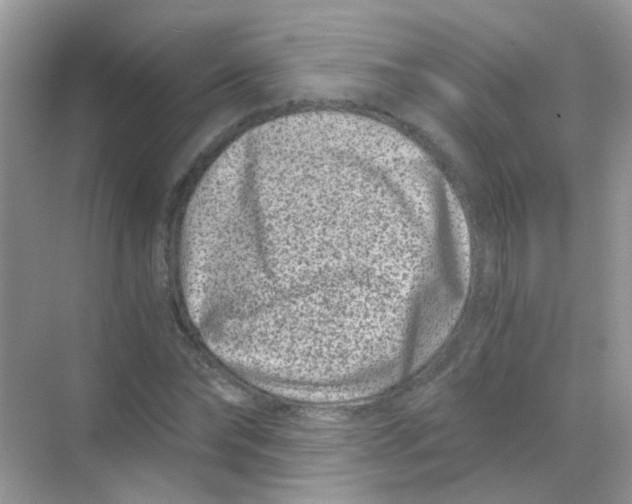 X0000068280878200605121909