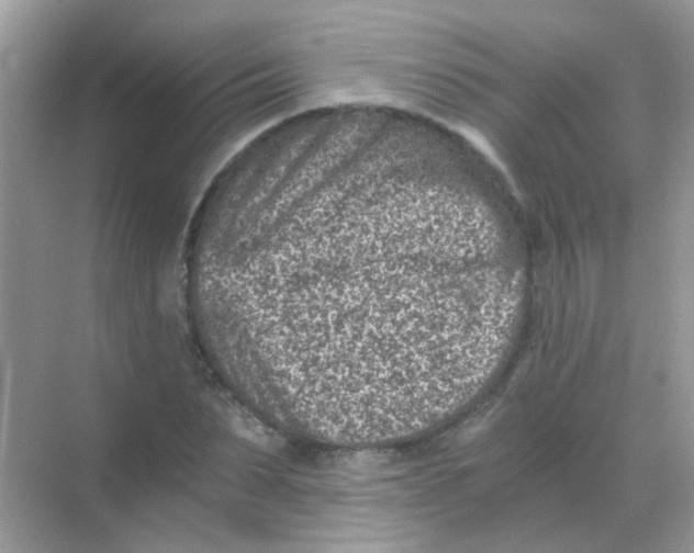 X0000068280879200605121909