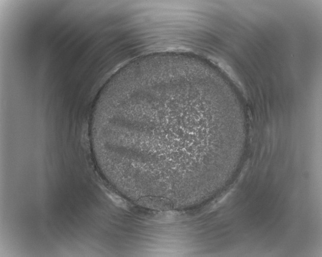 X0000068280881200605121909