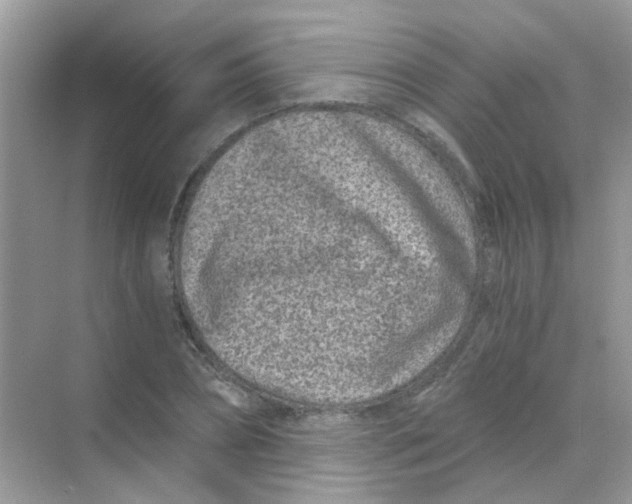 X0000068280882200605121909