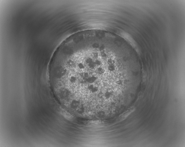 X0000068280883200605121909