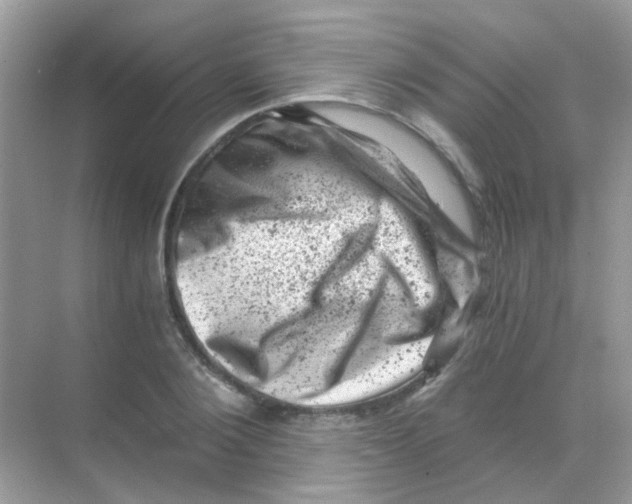 X0000068280884200605121909