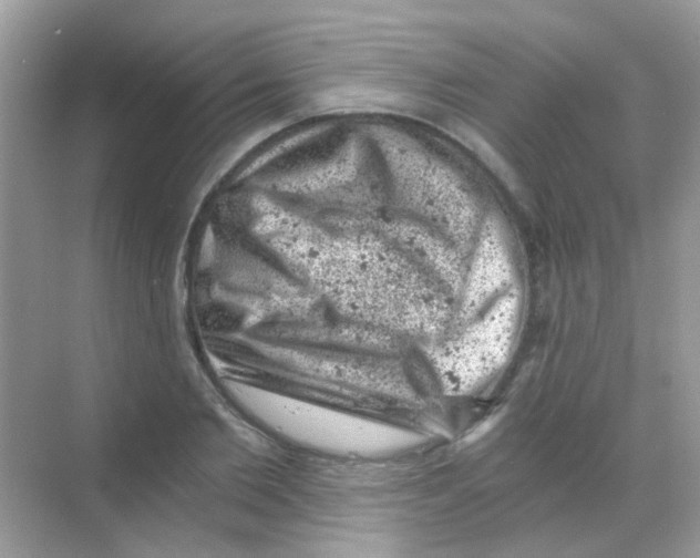 X0000068280885200605121909