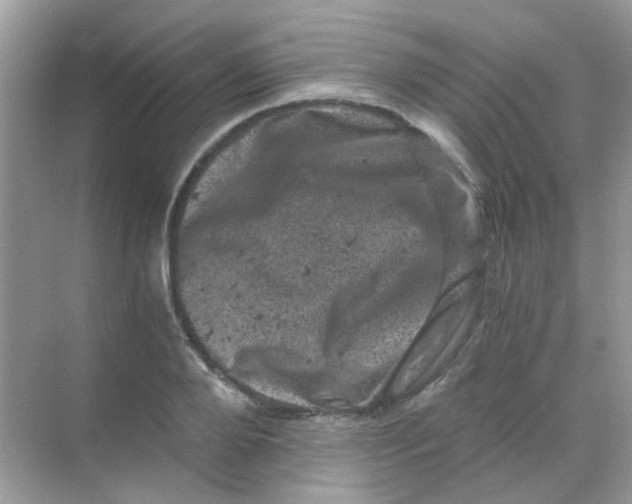 X0000068280888200605121909