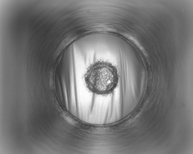 X0000068280889200605121909