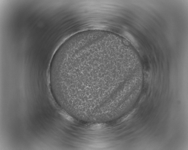 X0000068280891200605121909