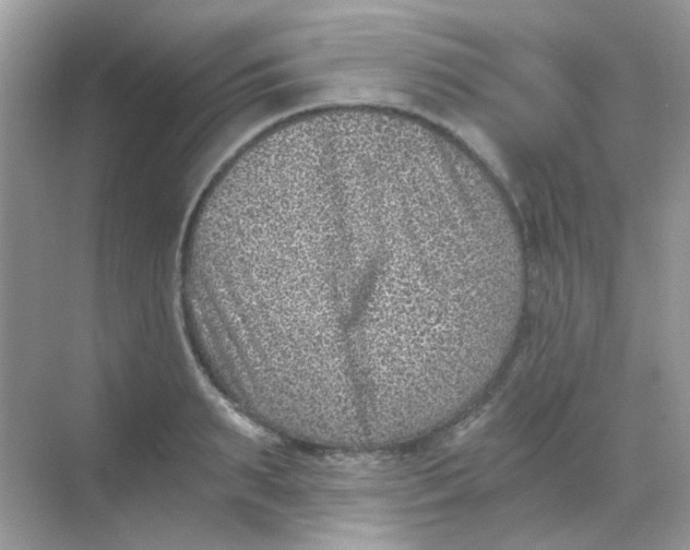 X0000068280895200605121909