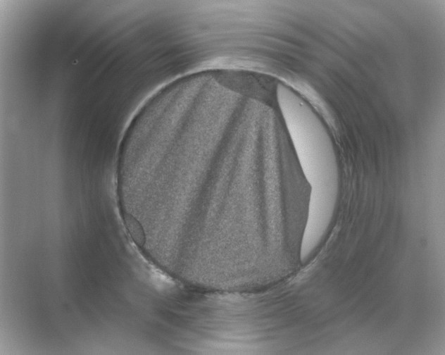 X0000068280896200605121909