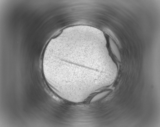 X0000068280900200605121909