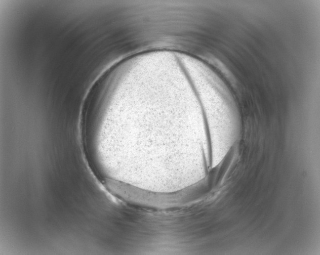 X0000068280902200605121909