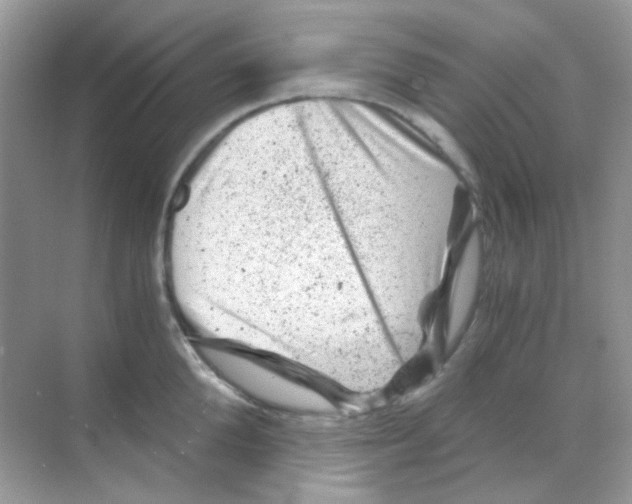 X0000068280904200605121909