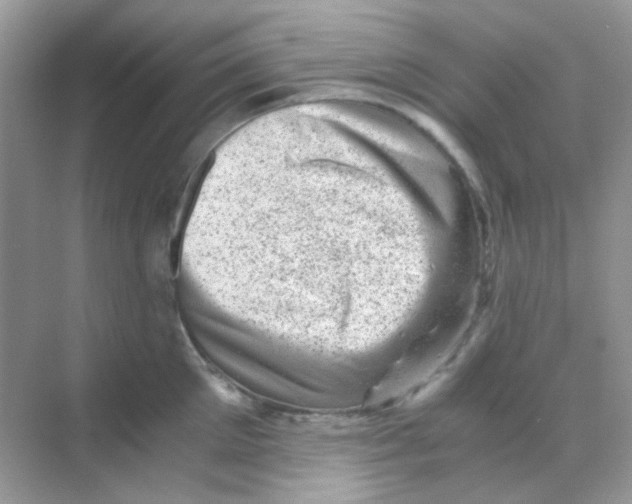 X0000068280905200605121909