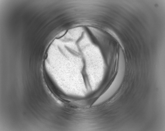 X0000068280906200605121909