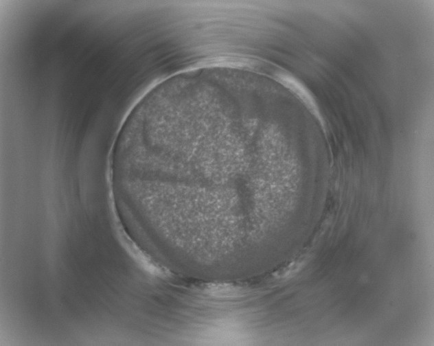 X0000068280907200605121909