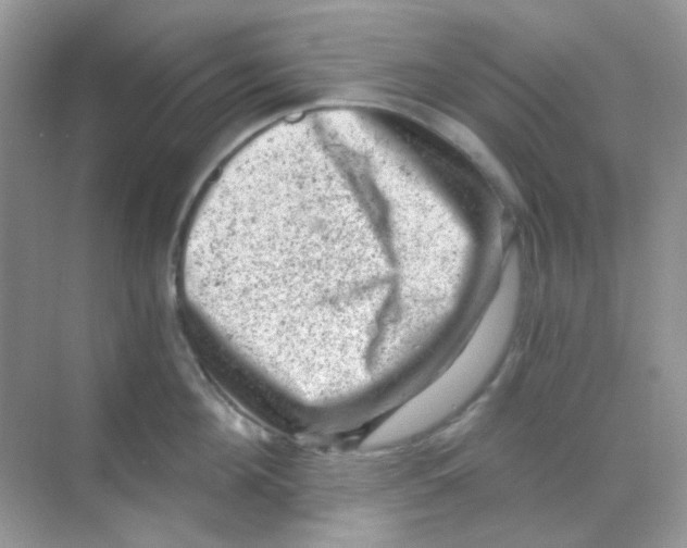 X0000068280908200605121909