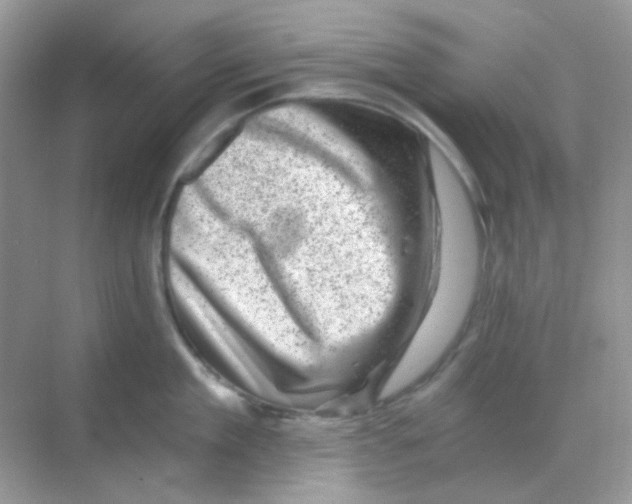 X0000068280909200605121909