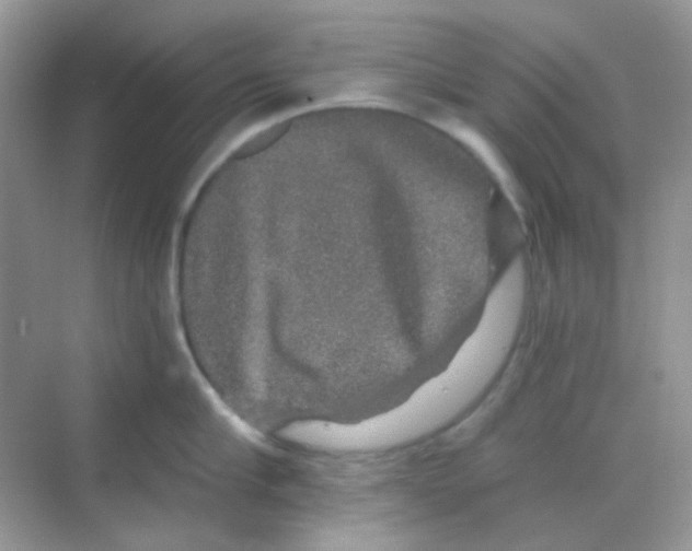 X0000068280910200605121909