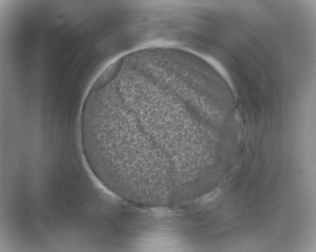 X0000068280911200605121909