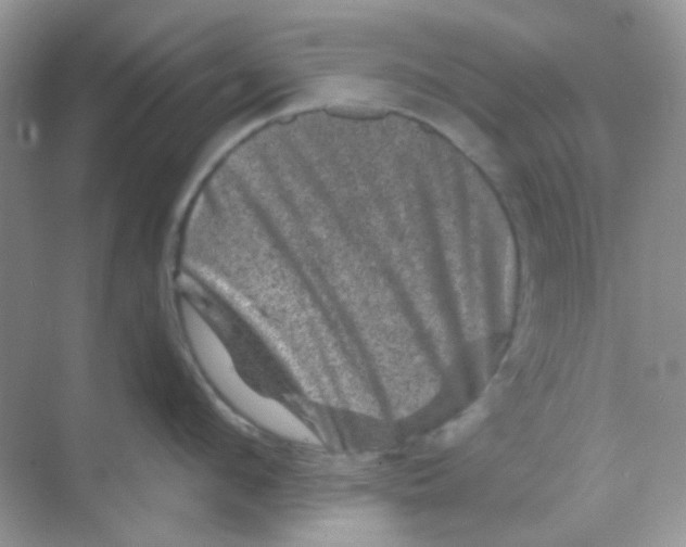 X0000068280912200605121909