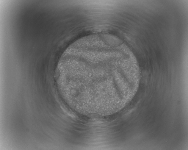 X0000068280913200605121908