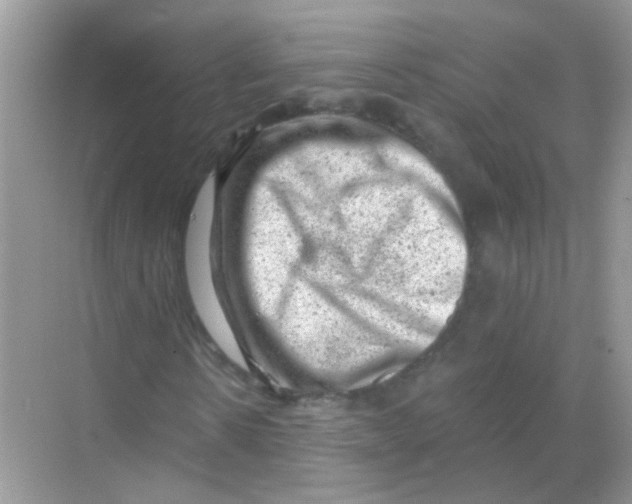 X0000068280914200605121908