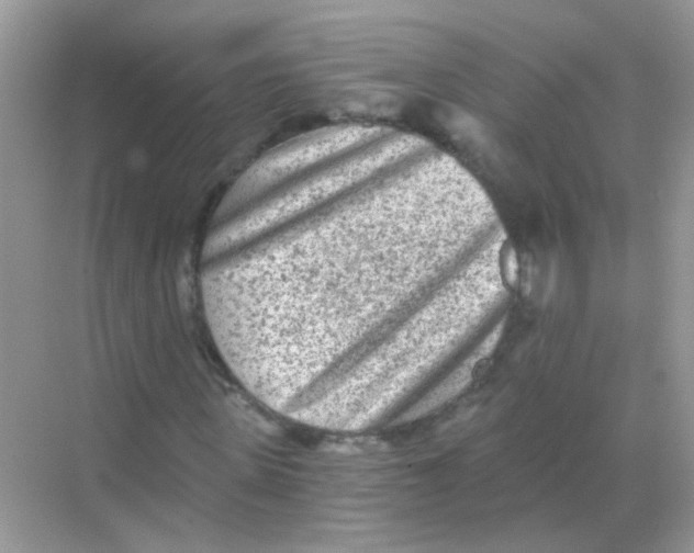 X0000068280915200605121908