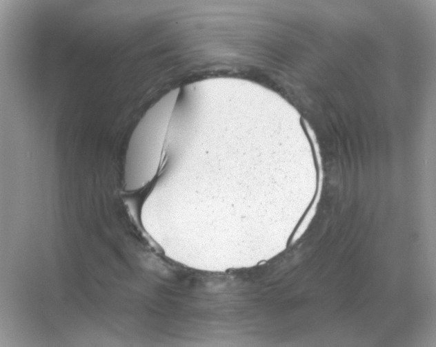 X0000068280916200605121908