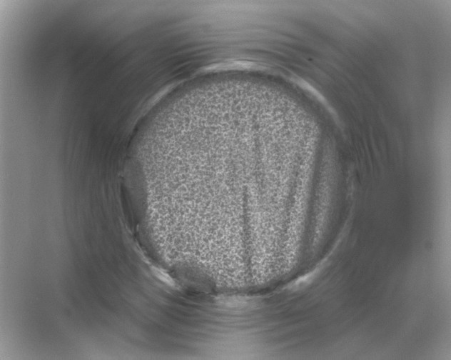 X0000068280921200605121908