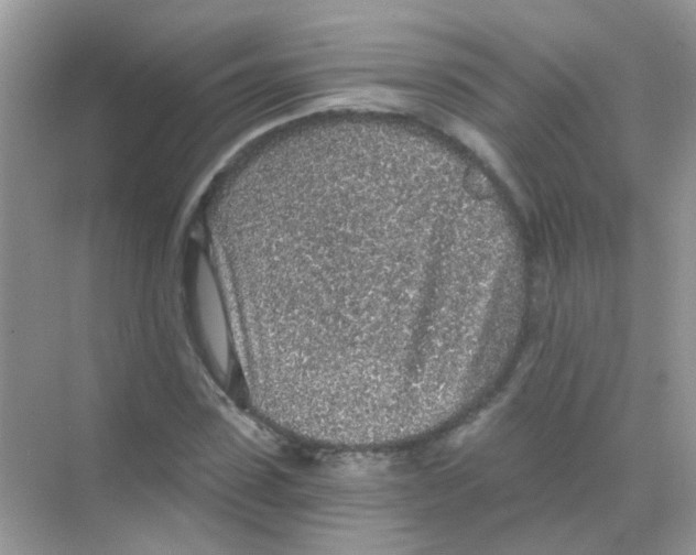 X0000068280923200605121908