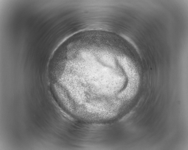 X0000068280925200605121908