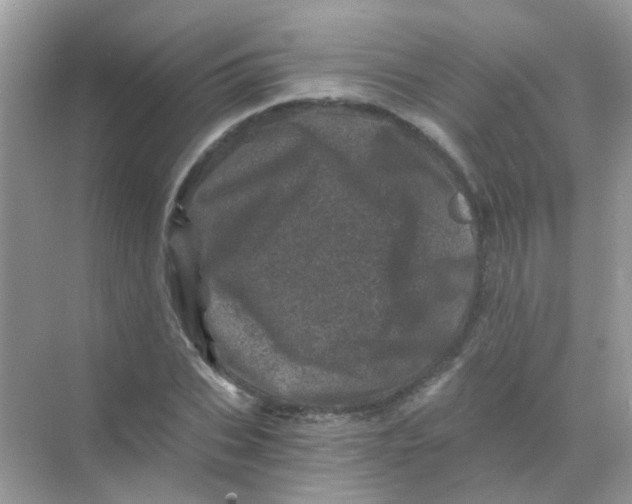 X0000068280927200605121908