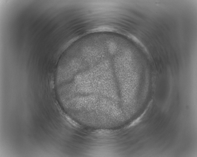 X0000068280929200605121908