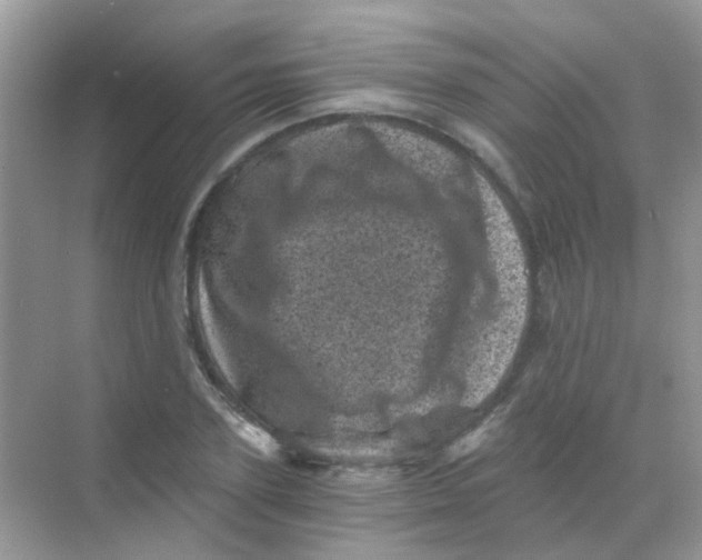 X0000068280931200605121908