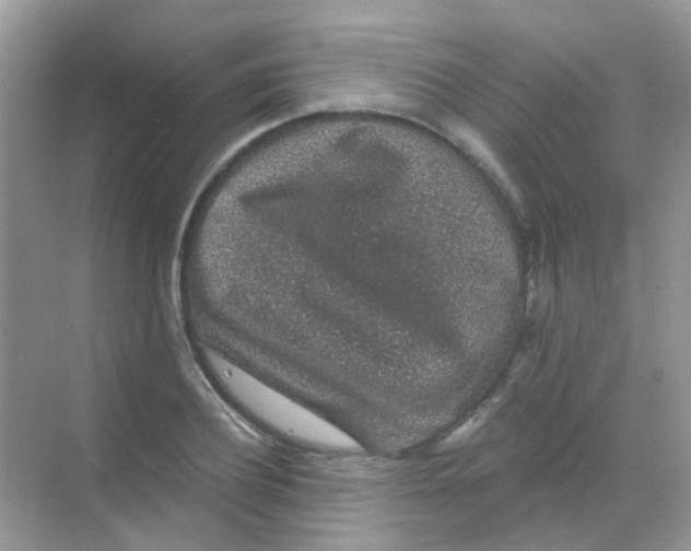 X0000068280932200605121908