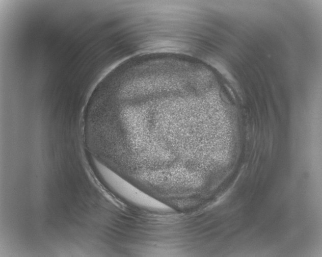 X0000068280933200605121908