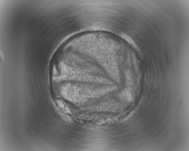 X0000068280934200605121908