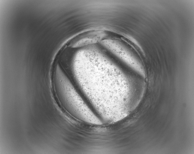 X0000068280935200605121908