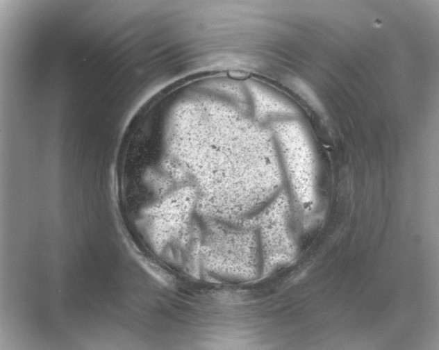 X0000068280936200605121908