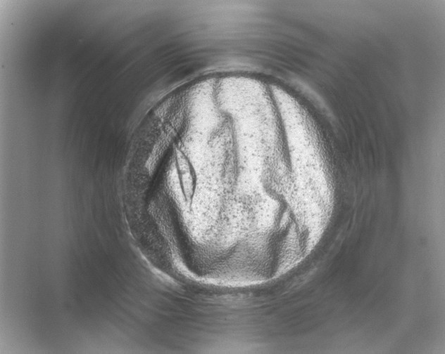 X0000068280937200605121908