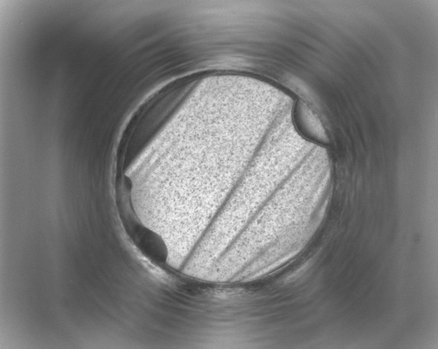 X0000068280939200605121908