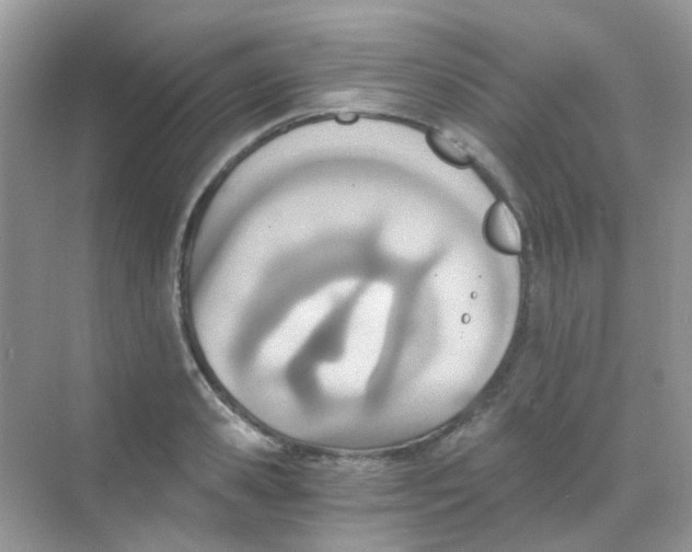 X0000068280941200605121908