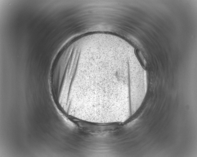 X0000068280942200605121908