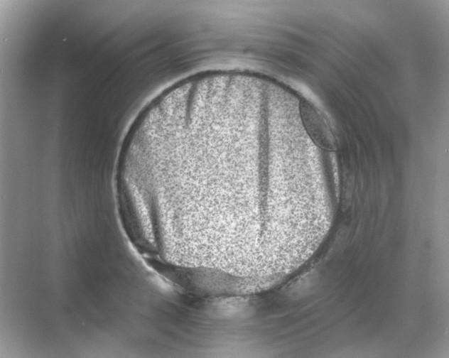 X0000068280943200605121908