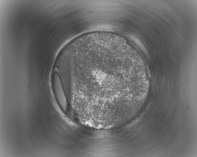 X0000068280944200605121908