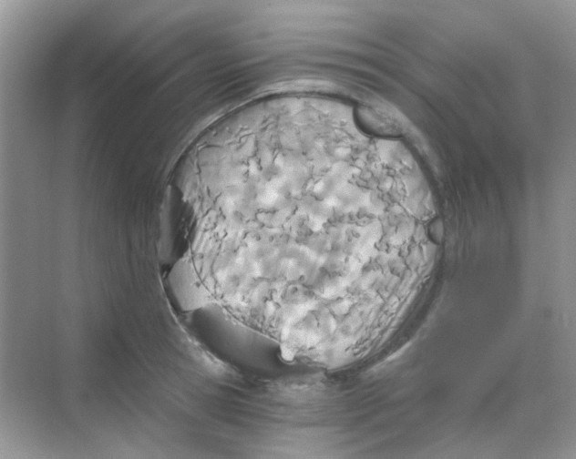 X0000068280945200605121908