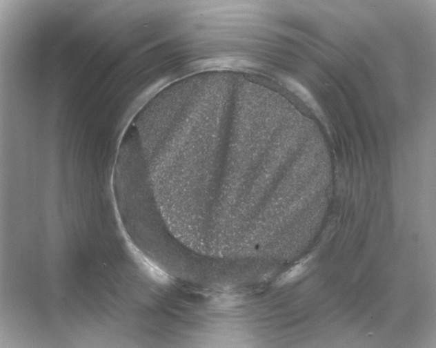 X0000068280946200605121908