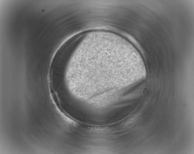 X0000068280951200605121908