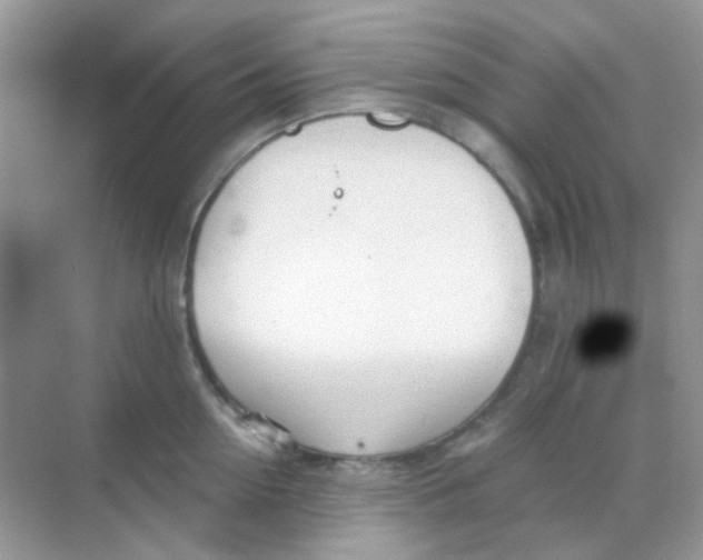 X0000068280954200605121908