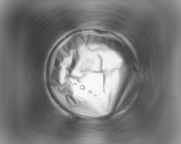 X0000068280957200605121908